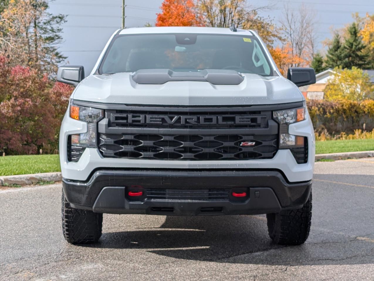 2026 Chevrolet Silverado 1500 Custom Trail Boss Photo3