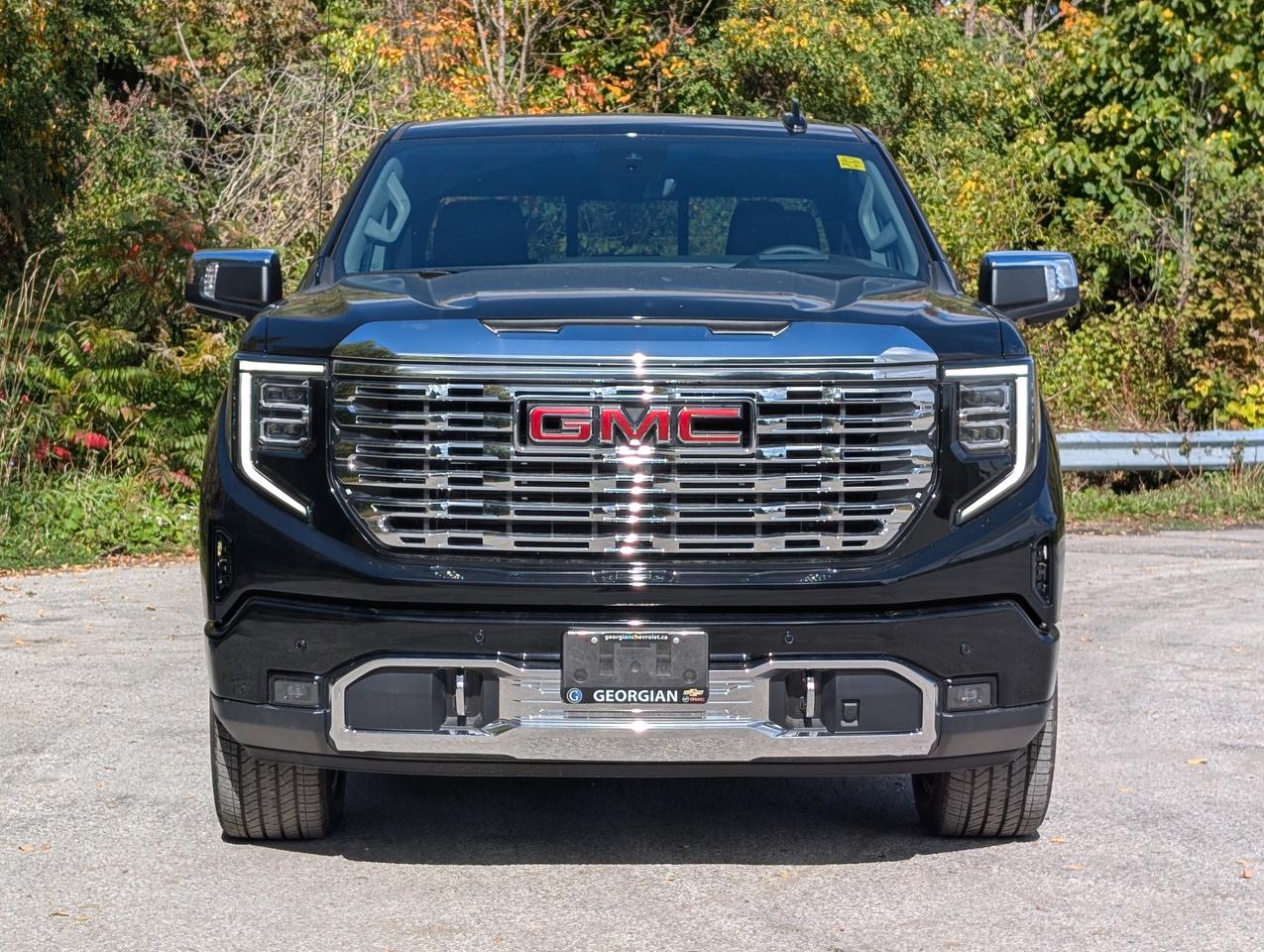 2026 GMC Sierra 1500 Denali Photo3