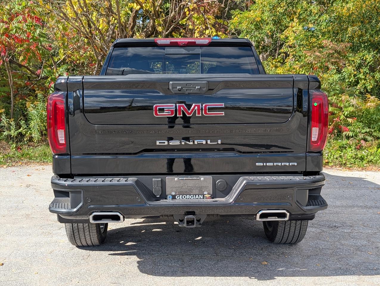 2026 GMC Sierra 1500 Denali Photo