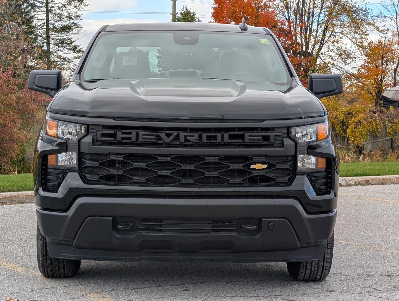 2026 Chevrolet Silverado 1500 Work Truck Photo3
