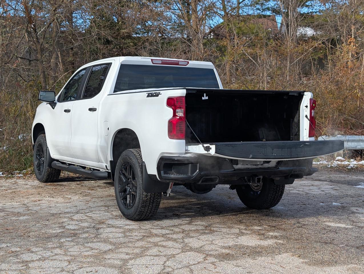 2026 Chevrolet Silverado 1500 Custom Trail Boss Photo