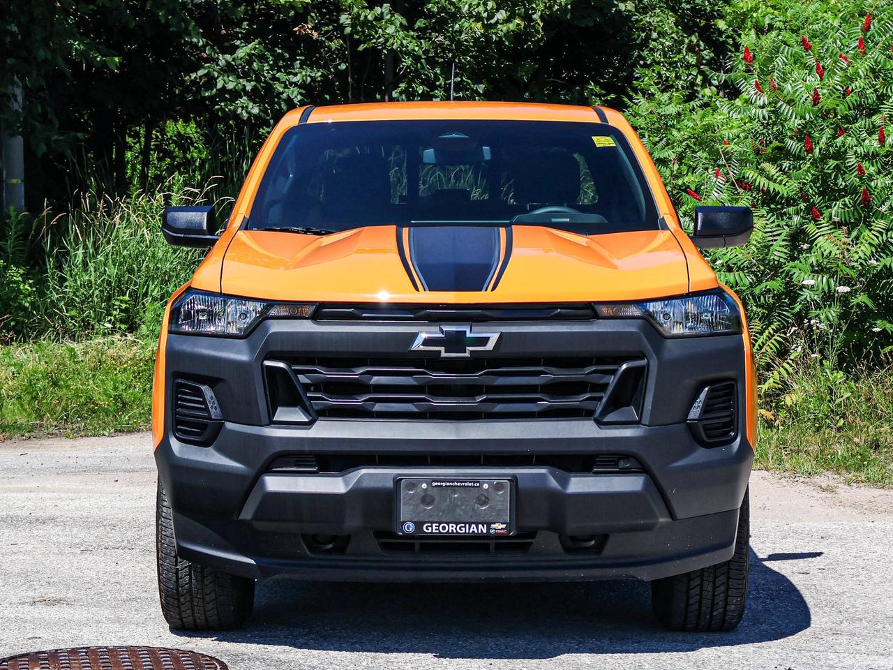 2026 Chevrolet Colorado 4WD Work Truck Photo4