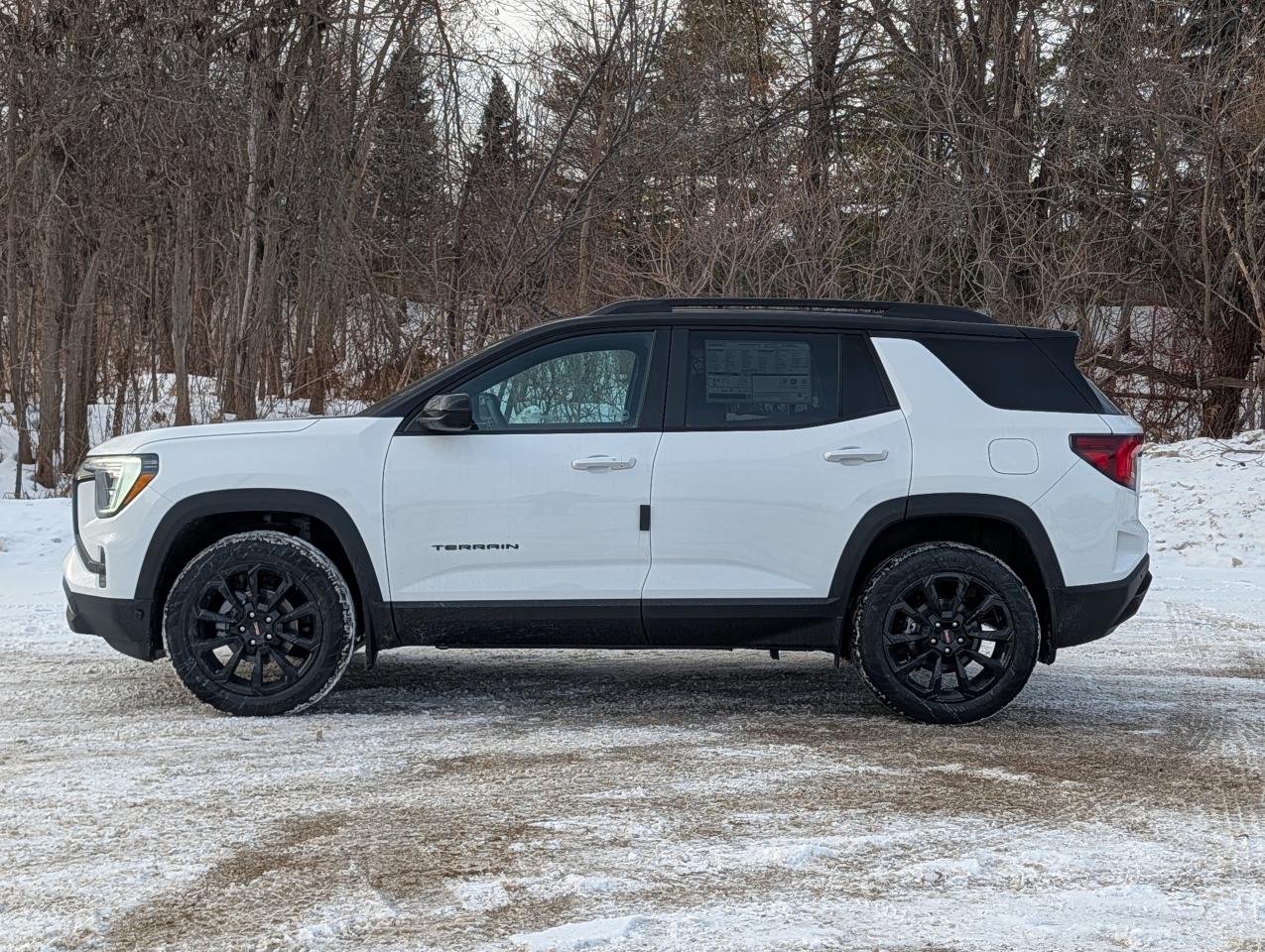 2026 GMC Terrain AWD Elevation Photo3