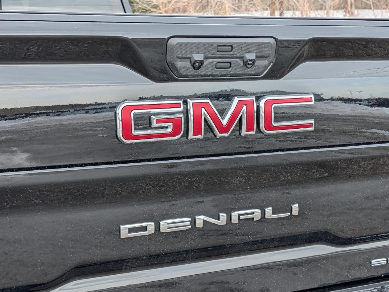 2026 GMC SIERRA 2500HD DENALI Photo