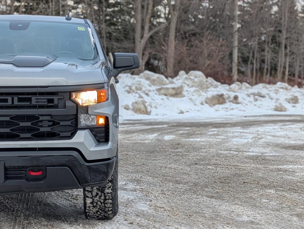 2026 Chevrolet Silverado 1500 Custom Trail Boss Photo4