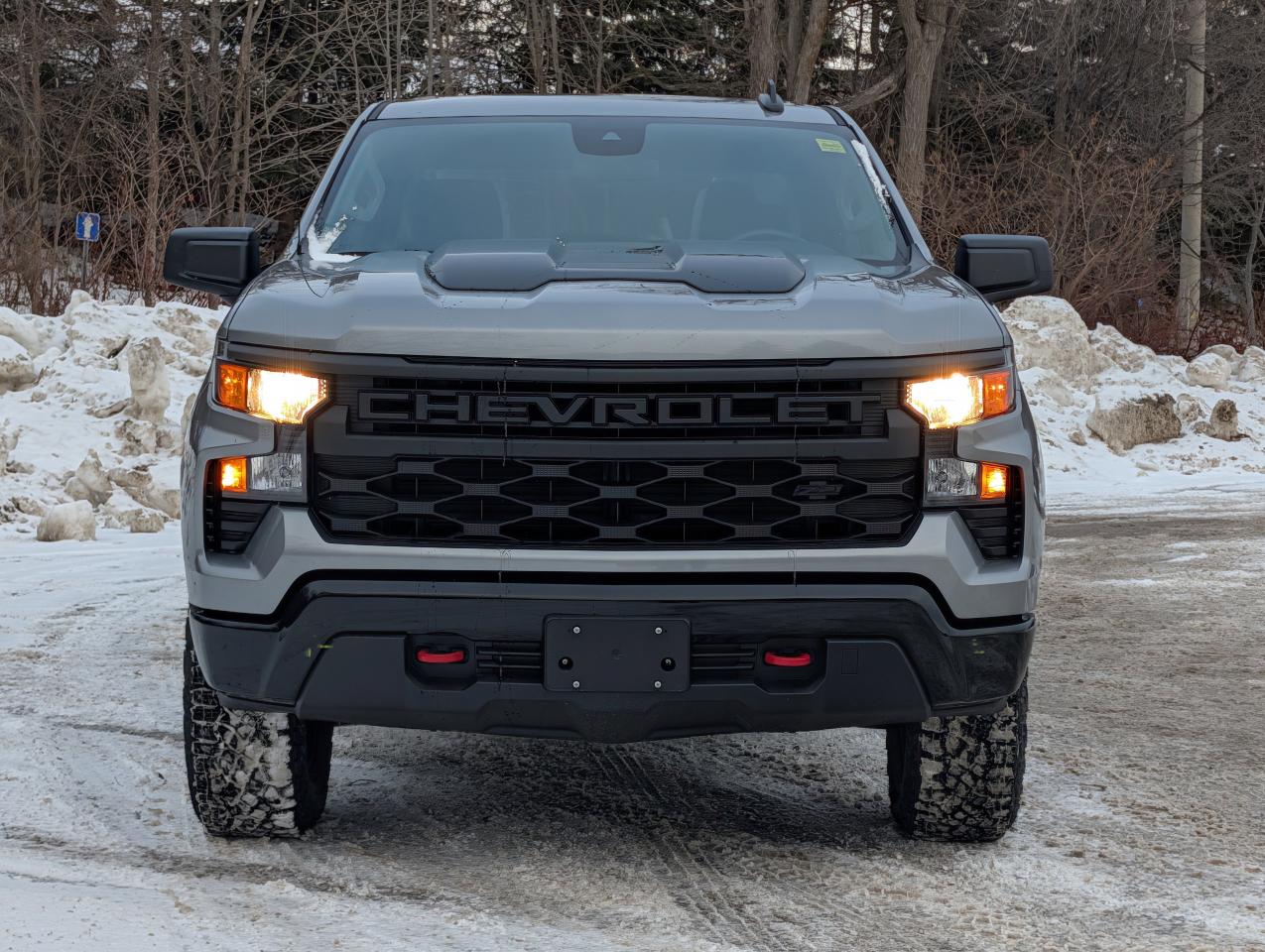 2026 Chevrolet Silverado 1500 Custom Trail Boss Photo