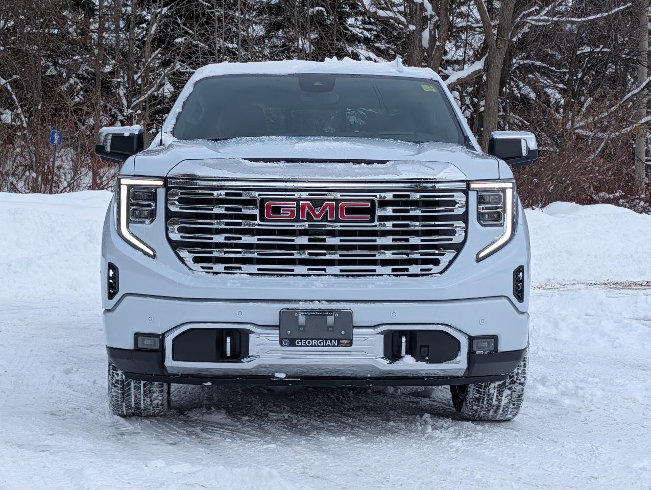 2026 GMC Sierra 1500 Denali Photo4