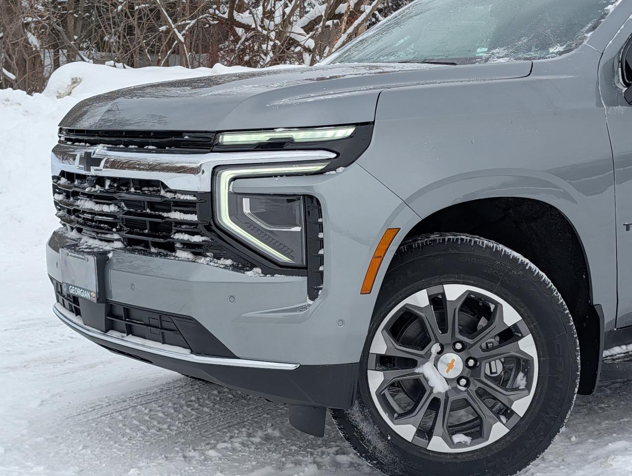 2026 Chevrolet Tahoe LS Photo