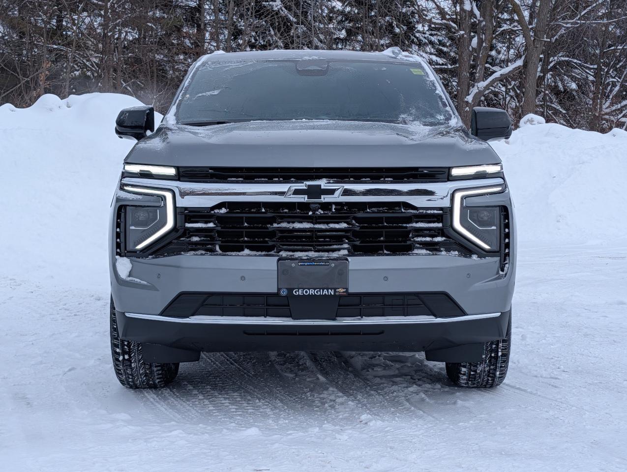 2026 Chevrolet Tahoe LS Photo