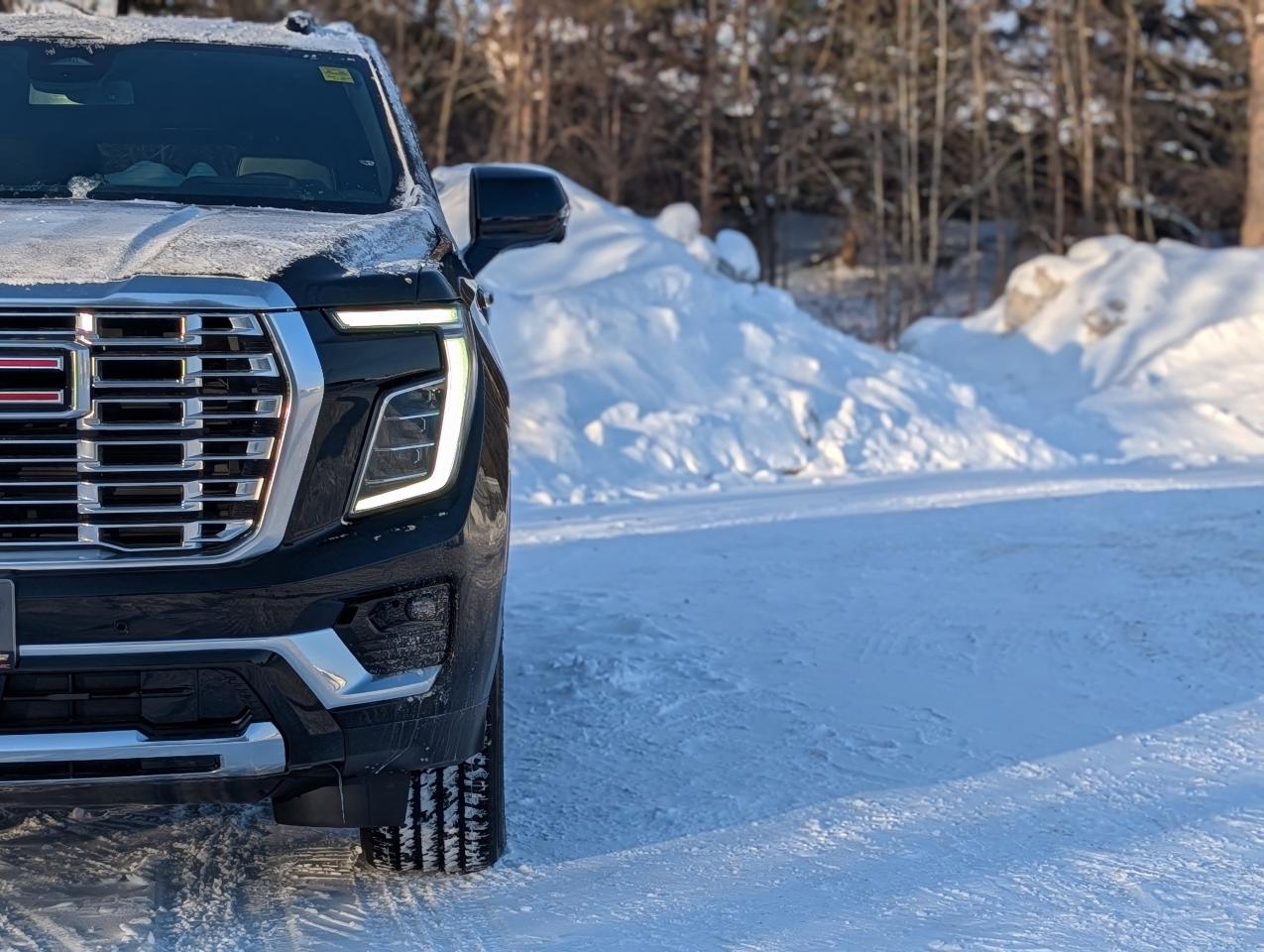 2026 GMC Yukon Denali Photo