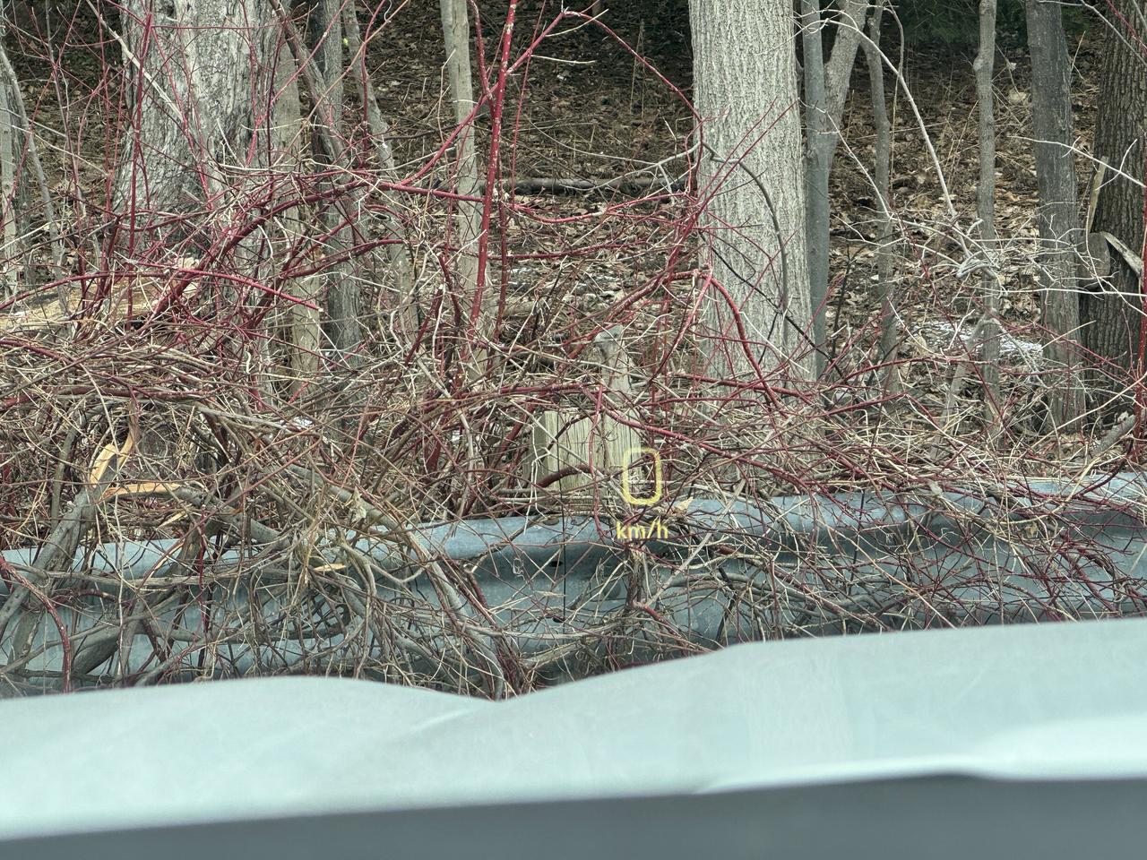 2026 GMC Sierra 1500 AT4X Photo