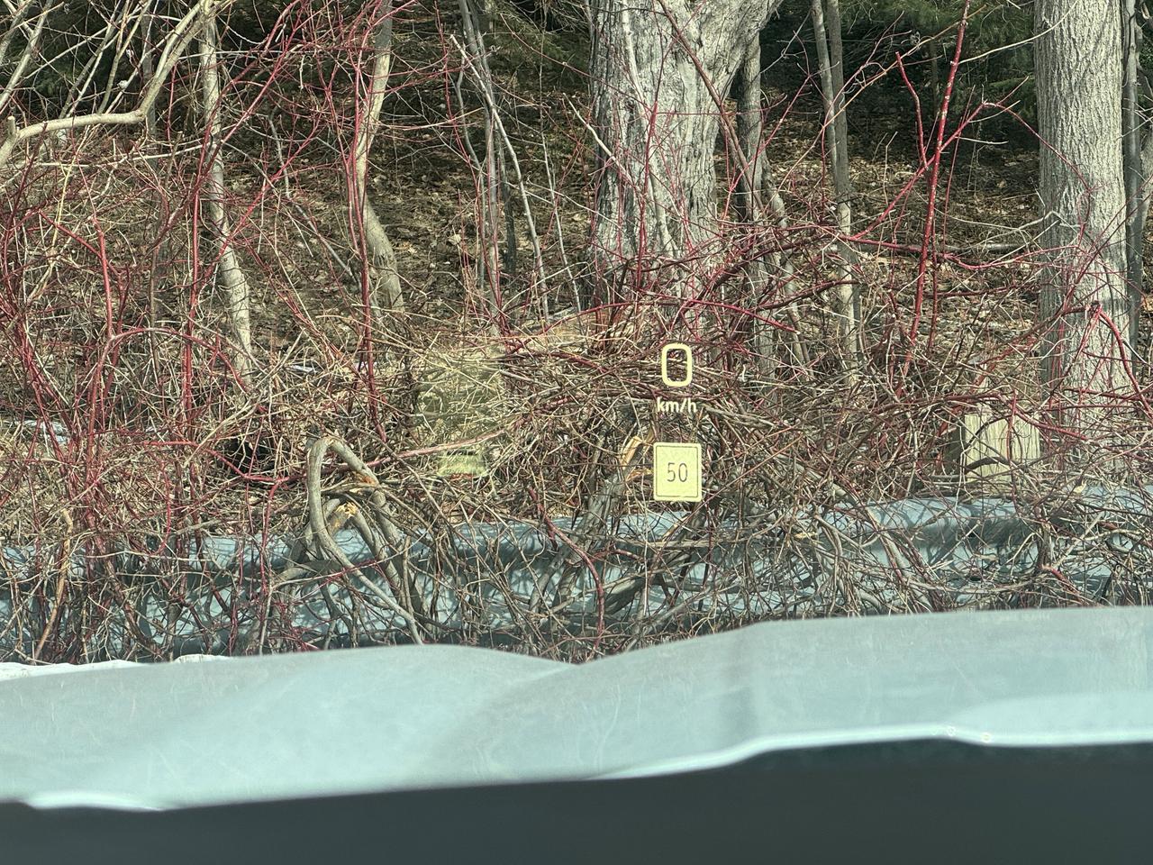 2026 GMC Sierra 1500 Denali Photo