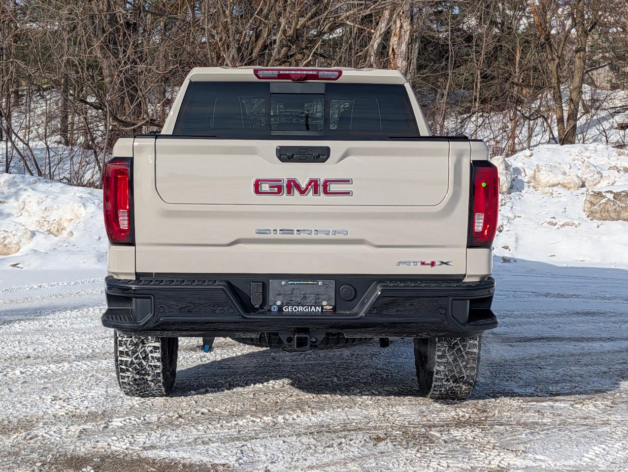 2026 GMC Sierra 1500 AT4X Photo