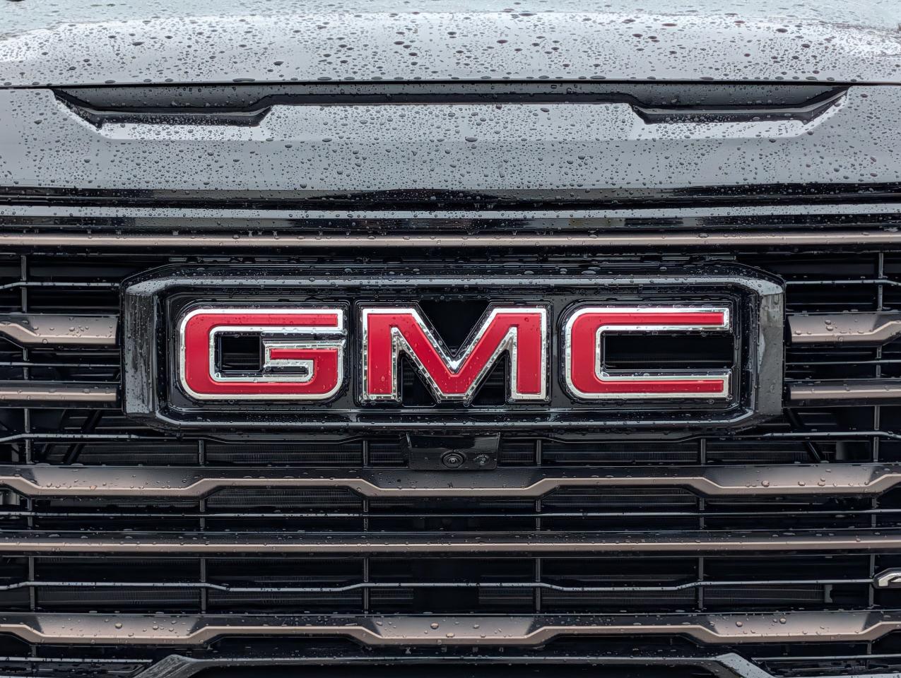 2026 GMC Sierra 1500 AT4X Photo