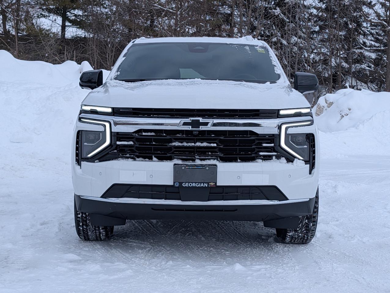 2026 Chevrolet Tahoe LS Photo