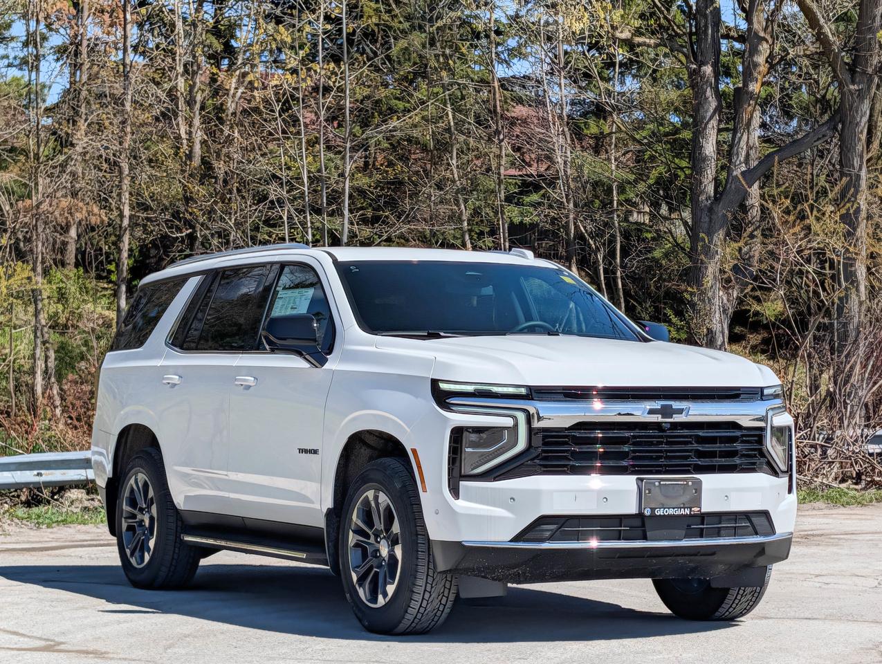 2026 Chevrolet Tahoe LS Photo