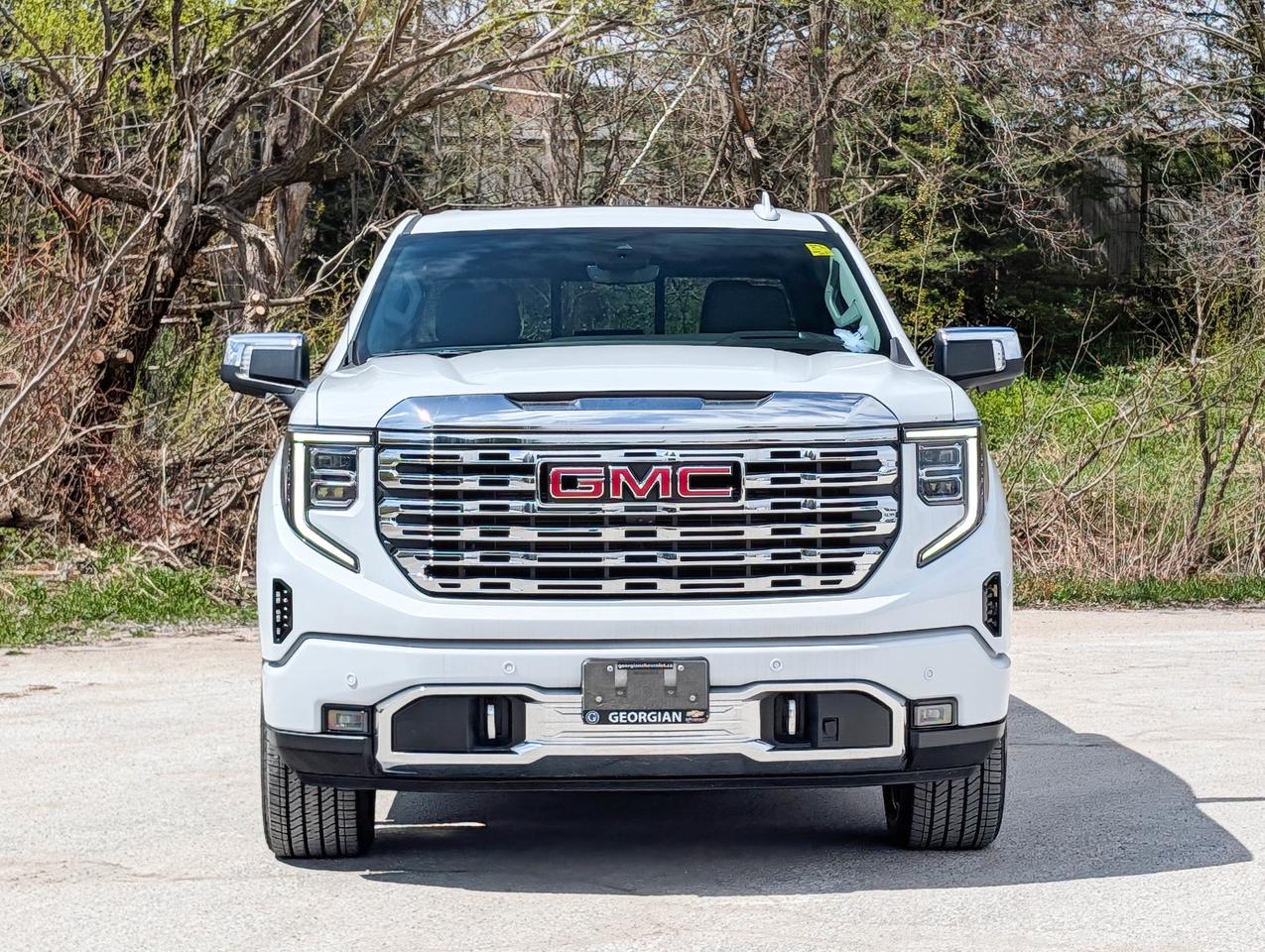 2026 GMC Sierra 1500 Denali Photo