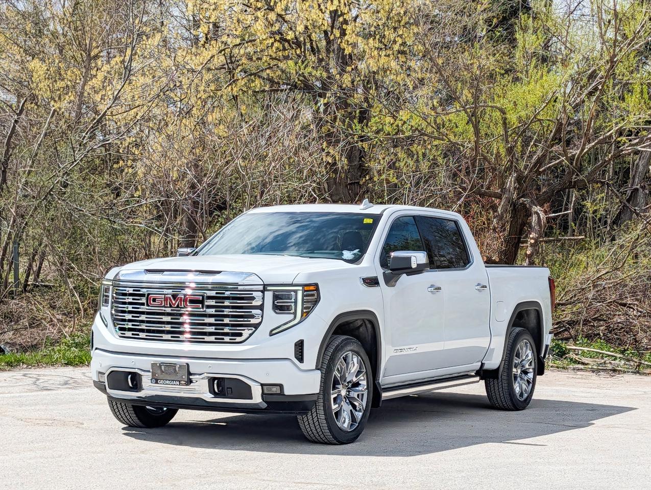 2026 GMC Sierra 1500 Denali Photo4