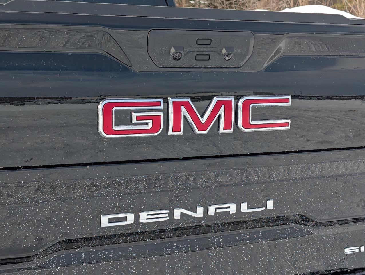 2026 GMC Sierra 1500 Denali Photo