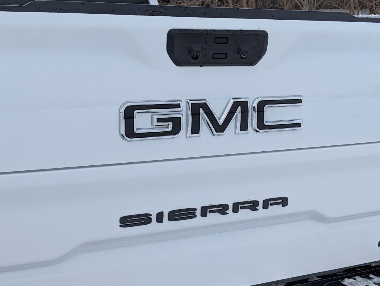 2026 GMC Sierra 1500 AT4 Photo