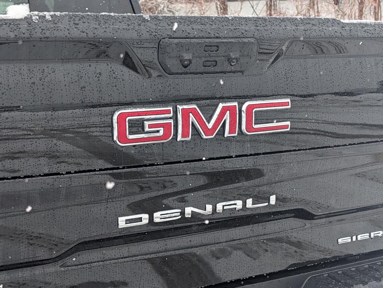 2026 GMC Sierra 1500 Denali Photo