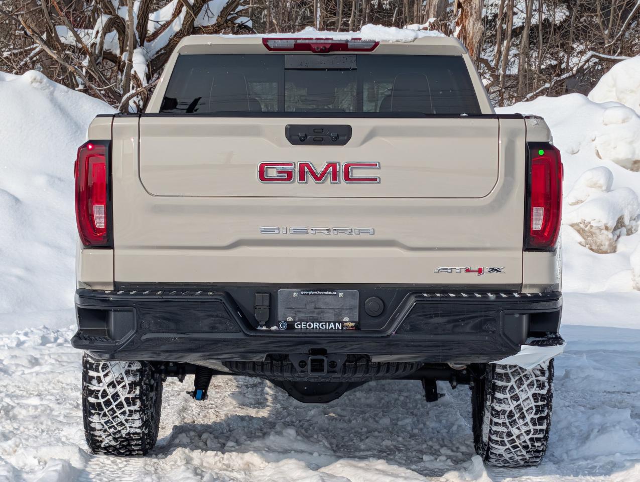 2026 GMC Sierra 1500 AT4X Photo