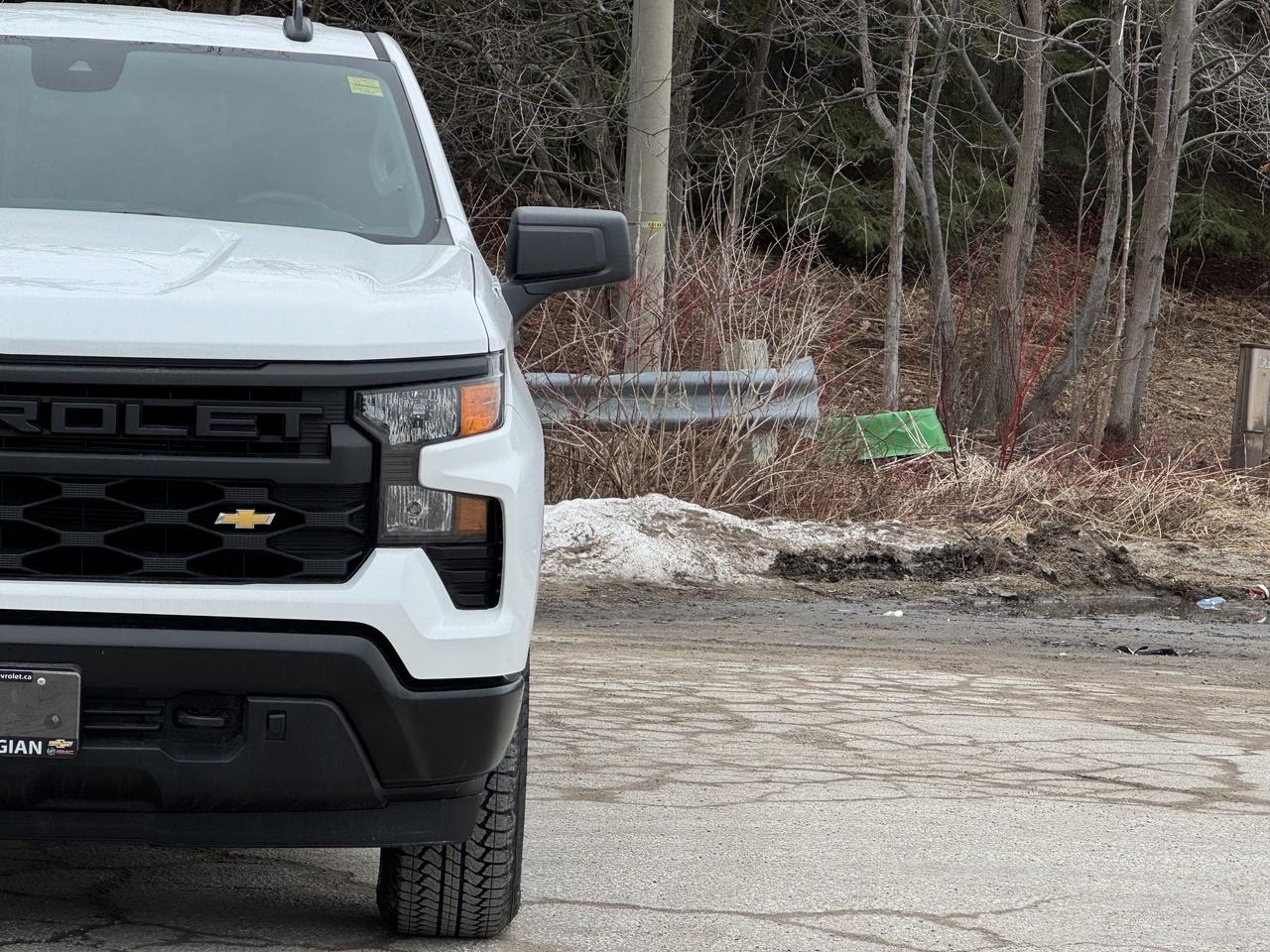 2026 Chevrolet Silverado 1500 Work Truck Photo