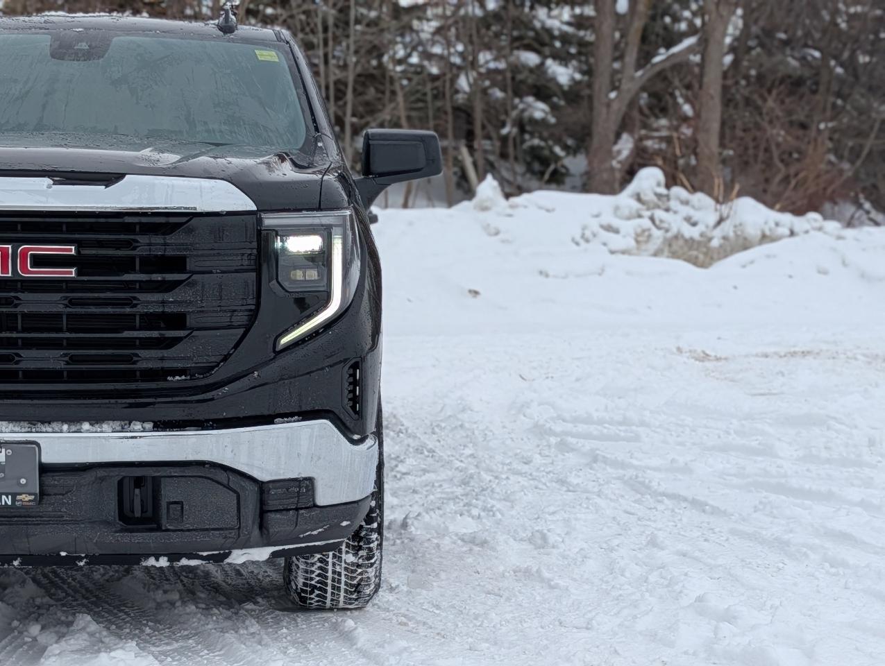 2026 GMC Sierra 1500 PRO Photo