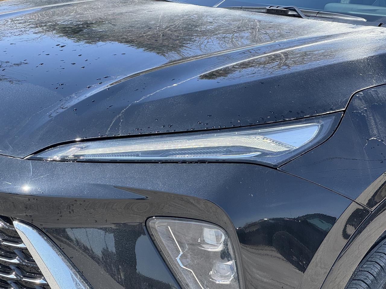 2026 Buick Envision Avenir Photo