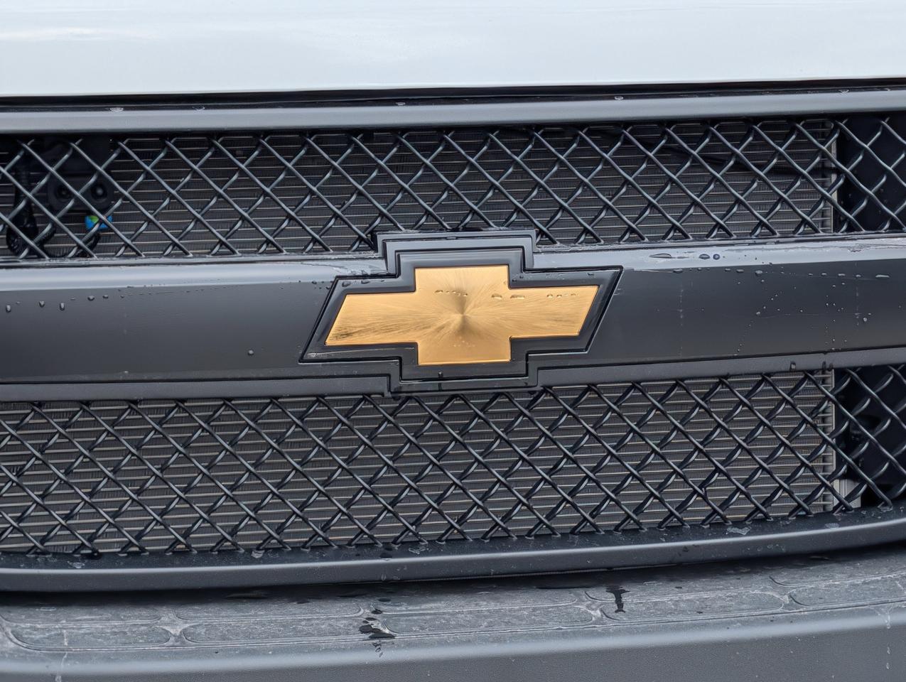 2026 Chevrolet Express Cargo Van  Photo