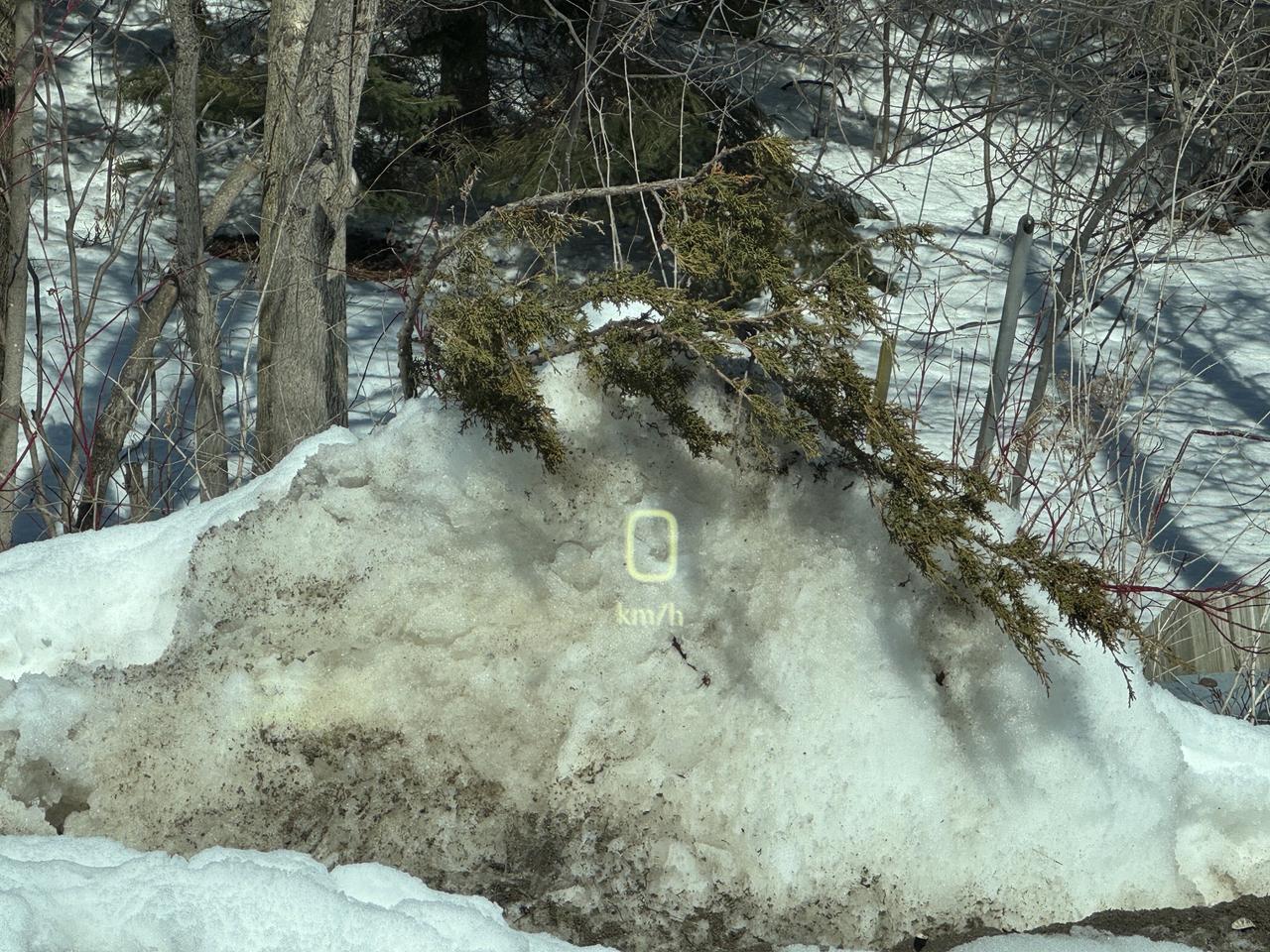 2026 GMC Sierra 1500 AT4X Photo