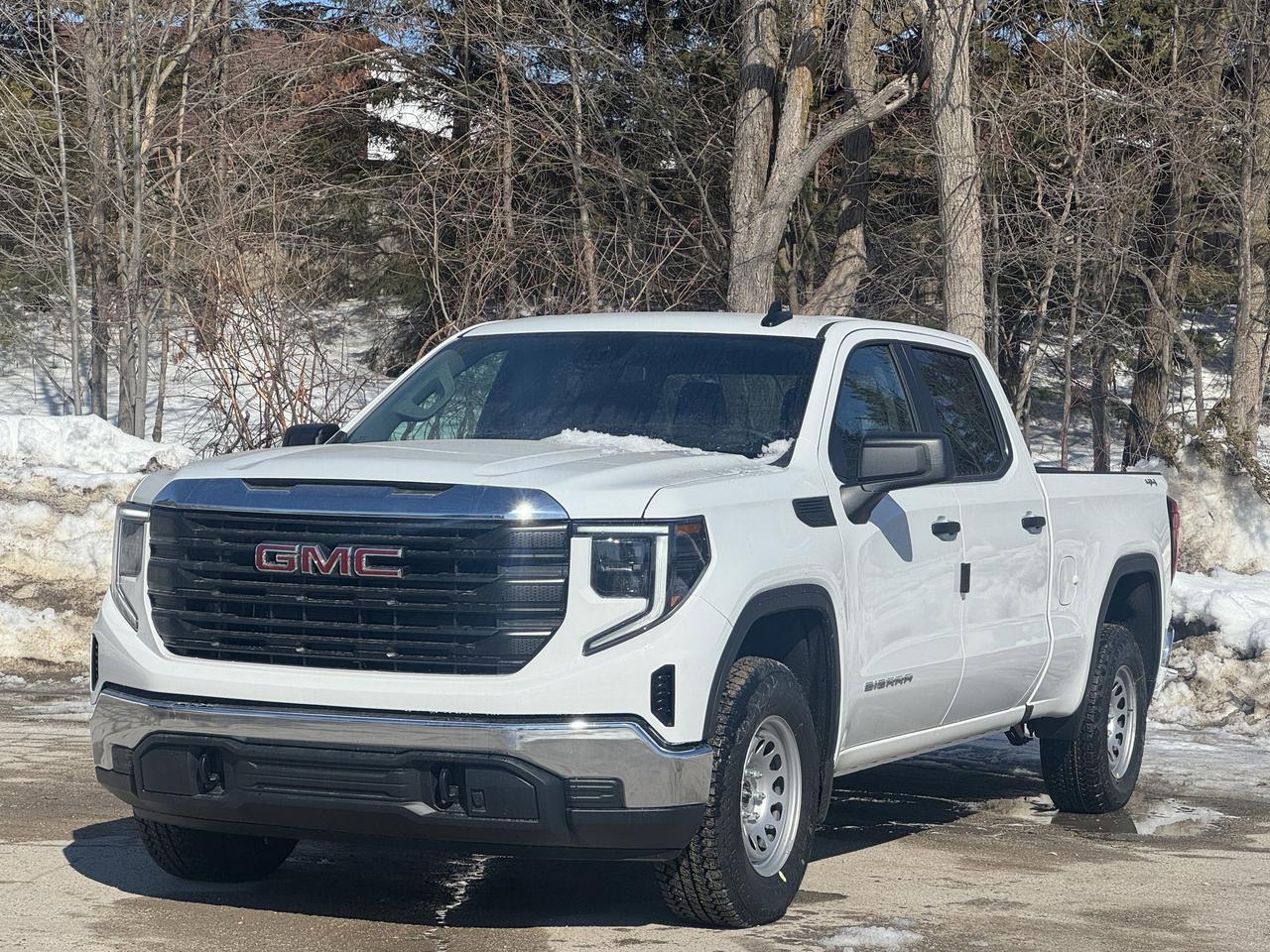 2026 GMC Sierra 1500 PRO Photo