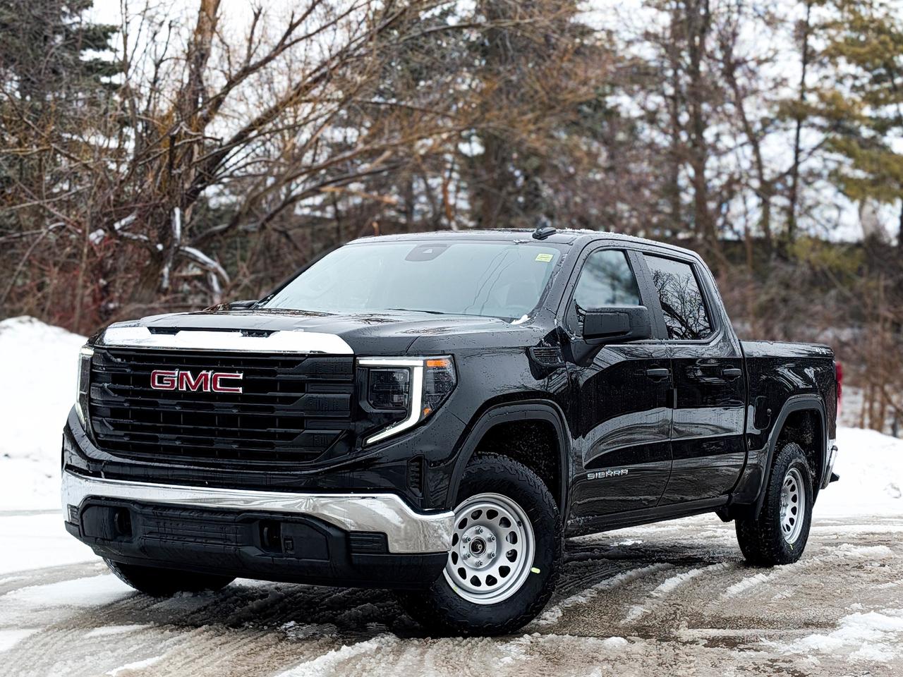 2026 GMC Sierra 1500 PRO Photo