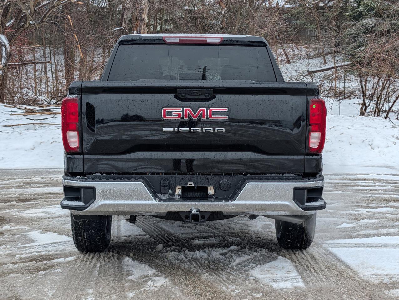 2026 GMC Sierra 1500 PRO Photo