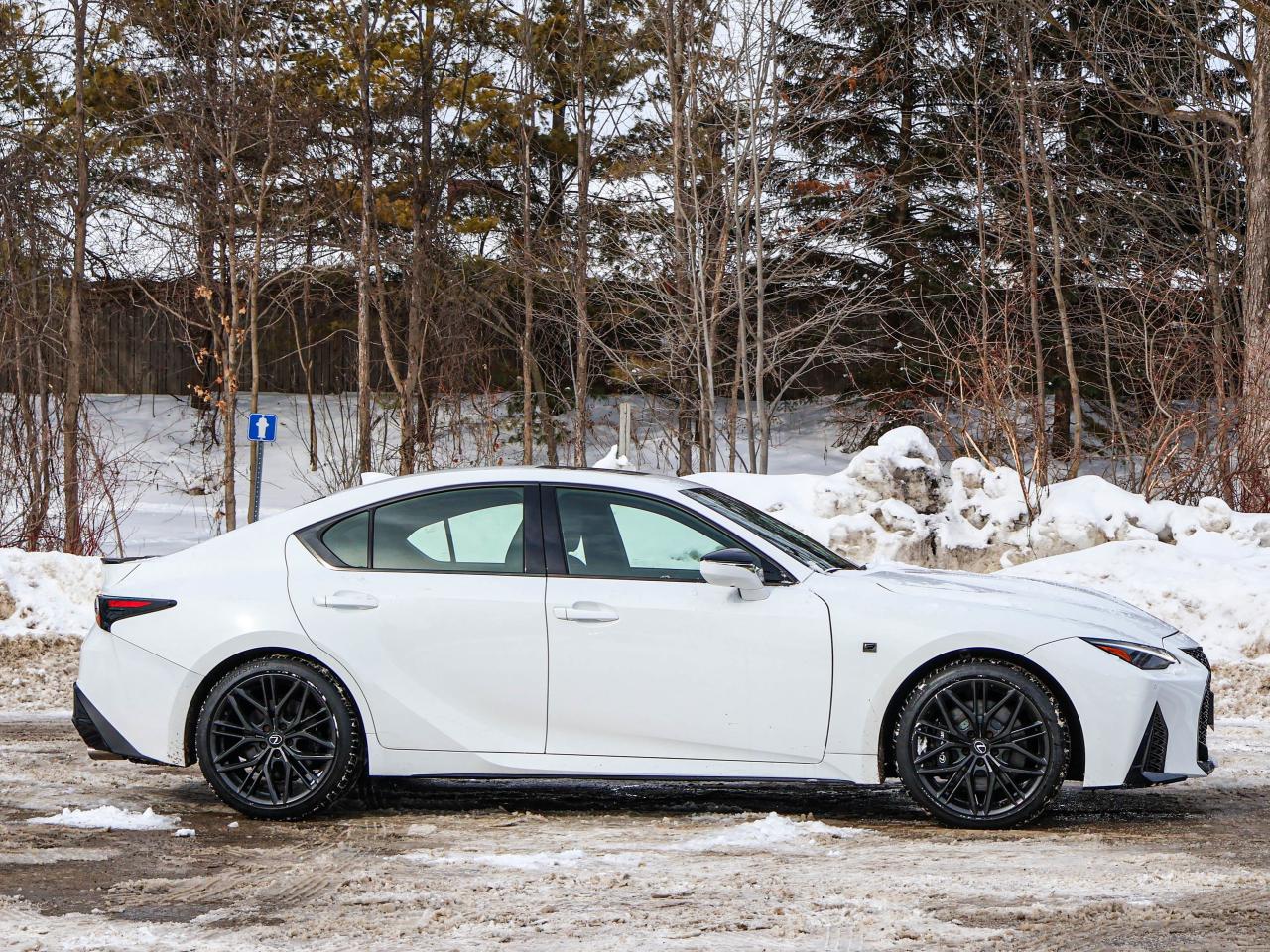 2023 Lexus IS 500 F Sport Photo