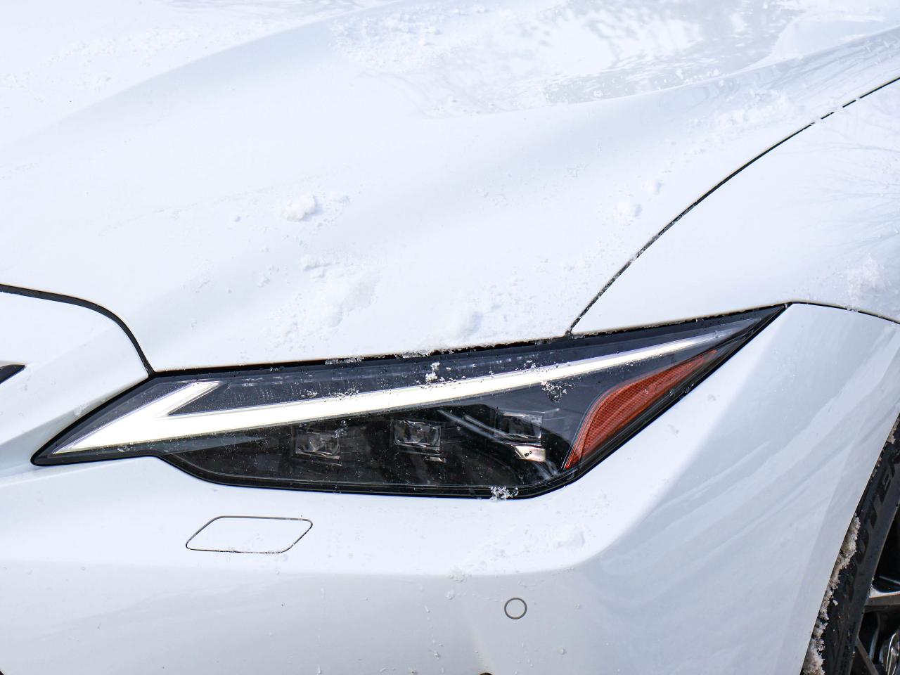 2023 Lexus IS 500 F Sport Photo