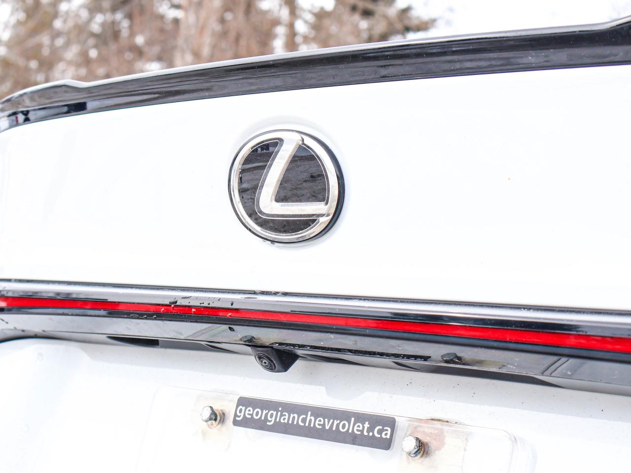 2023 Lexus IS 500 F Sport Photo