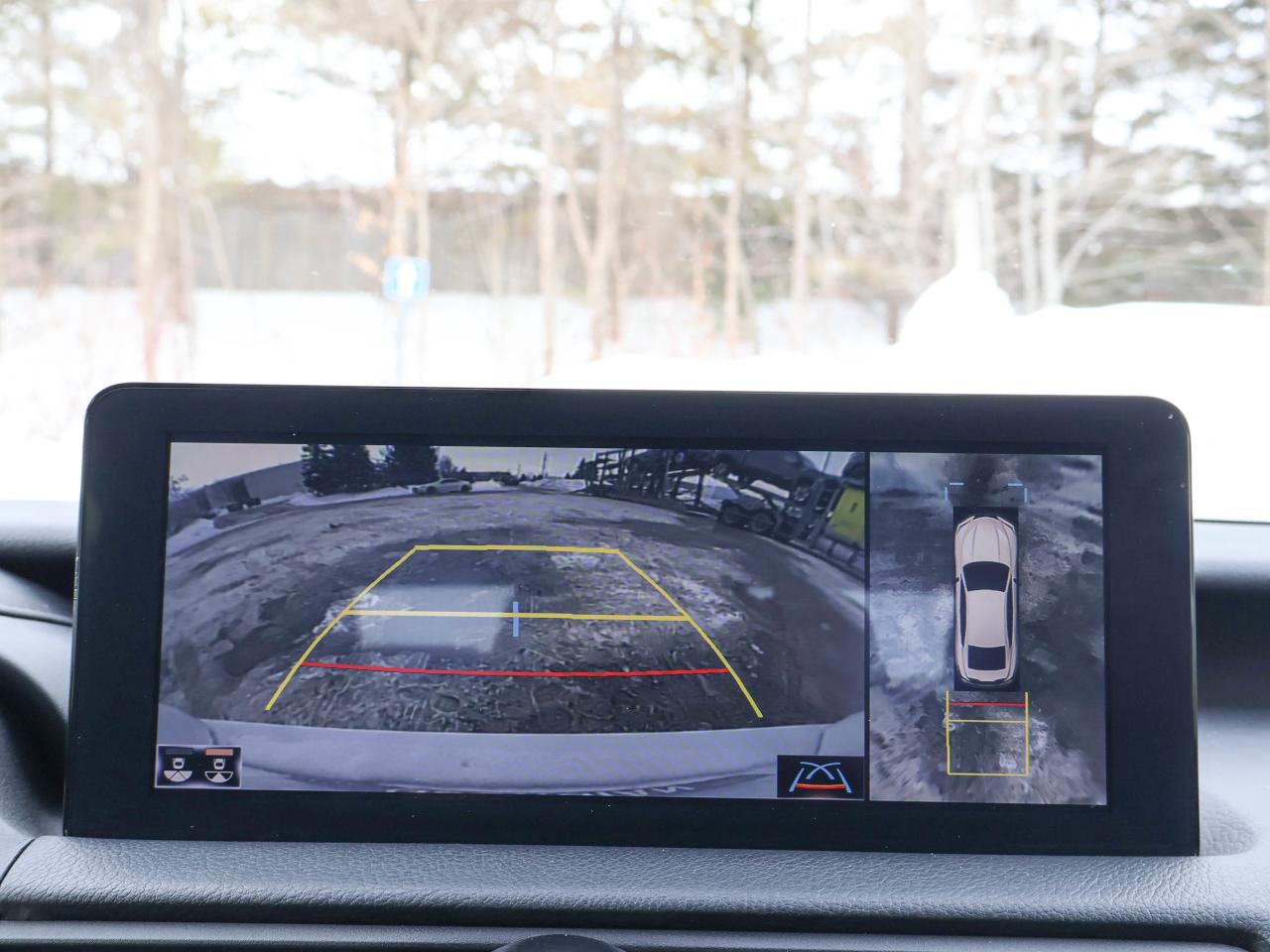 2023 Lexus IS 500 F Sport Photo