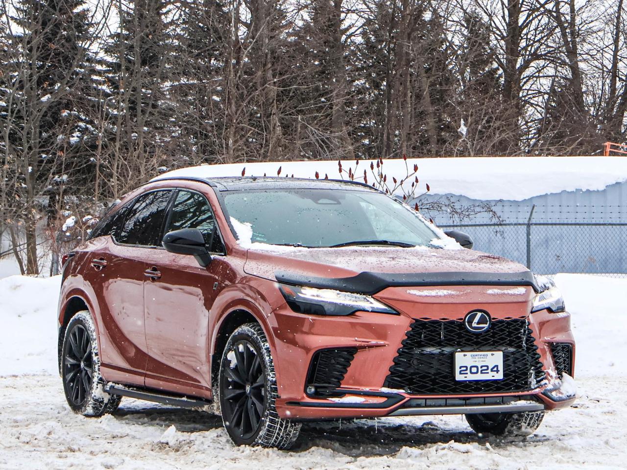 2024 Lexus RX RX 500H Photo