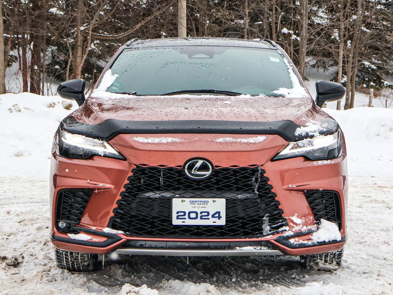 2024 Lexus RX RX 500H Photo