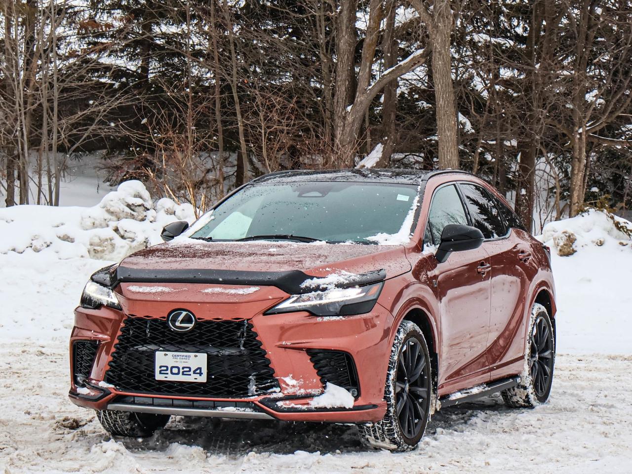 2024 Lexus RX RX 500H Photo