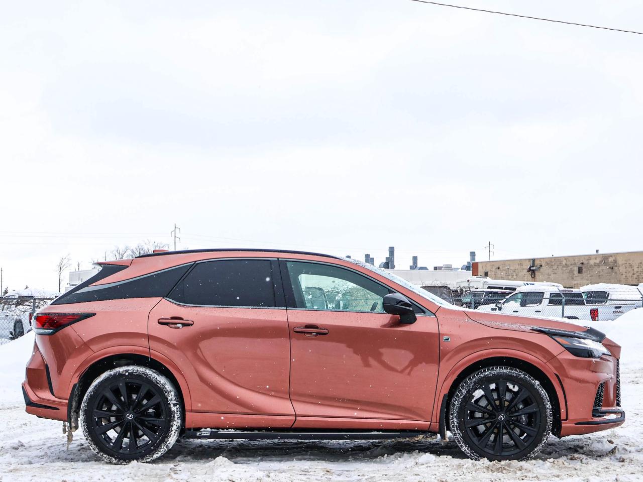 2024 Lexus RX RX 500H Photo2