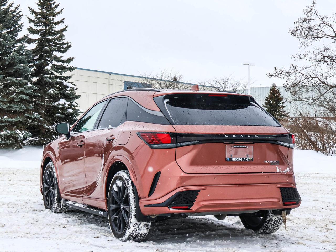 2024 Lexus RX RX 500H Photo