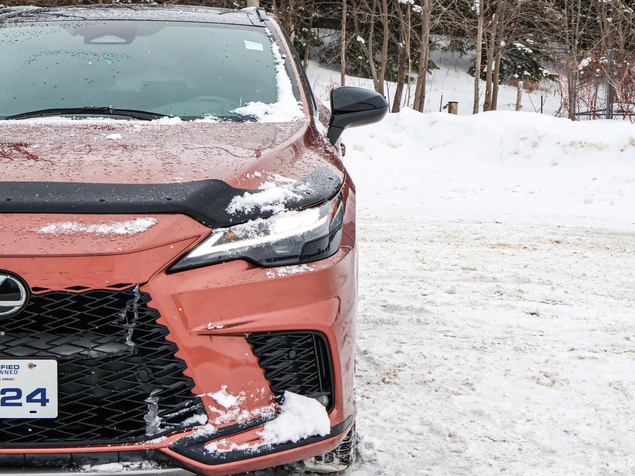 2024 Lexus RX RX 500H Photo