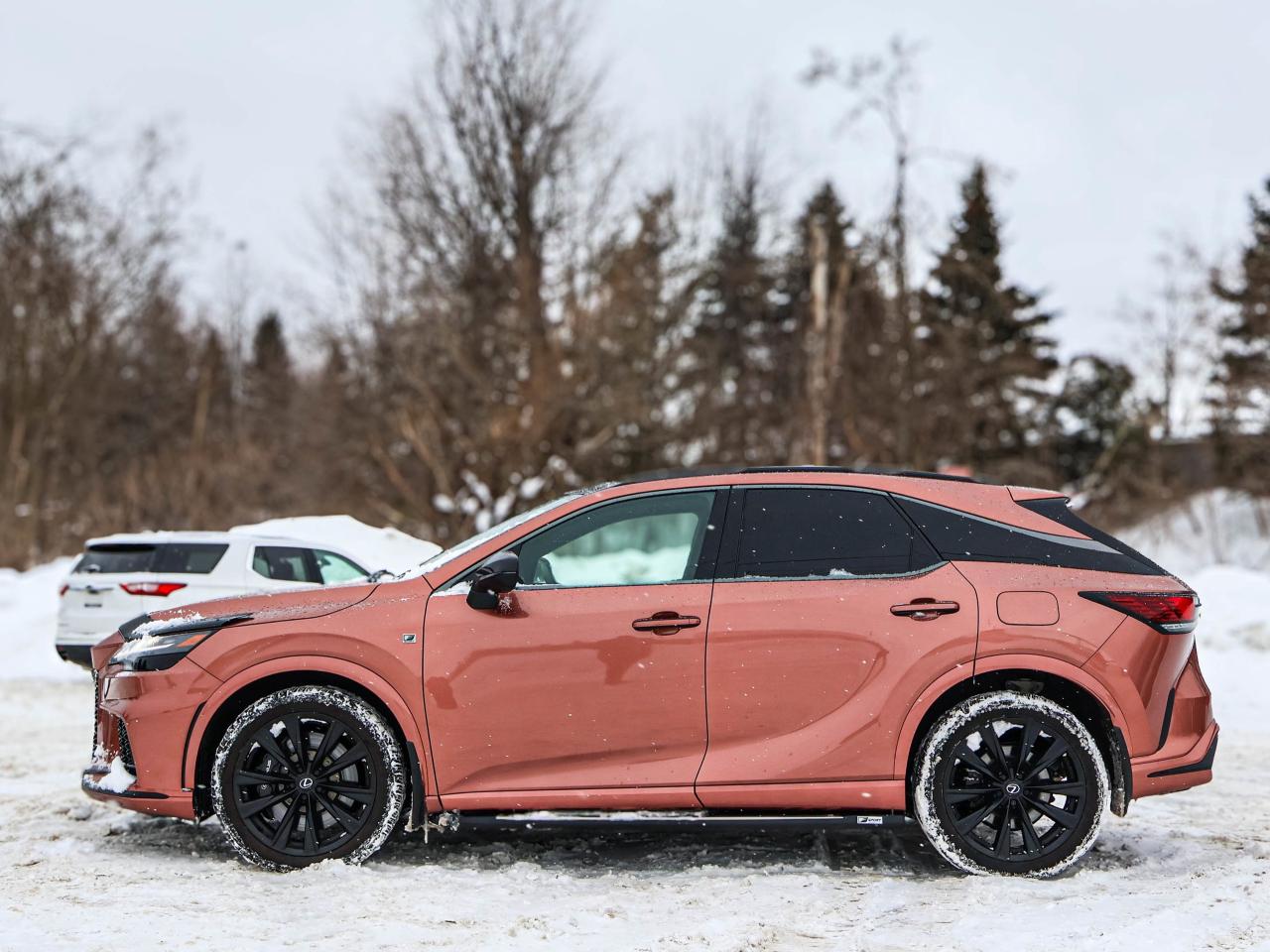 2024 Lexus RX RX 500H Photo