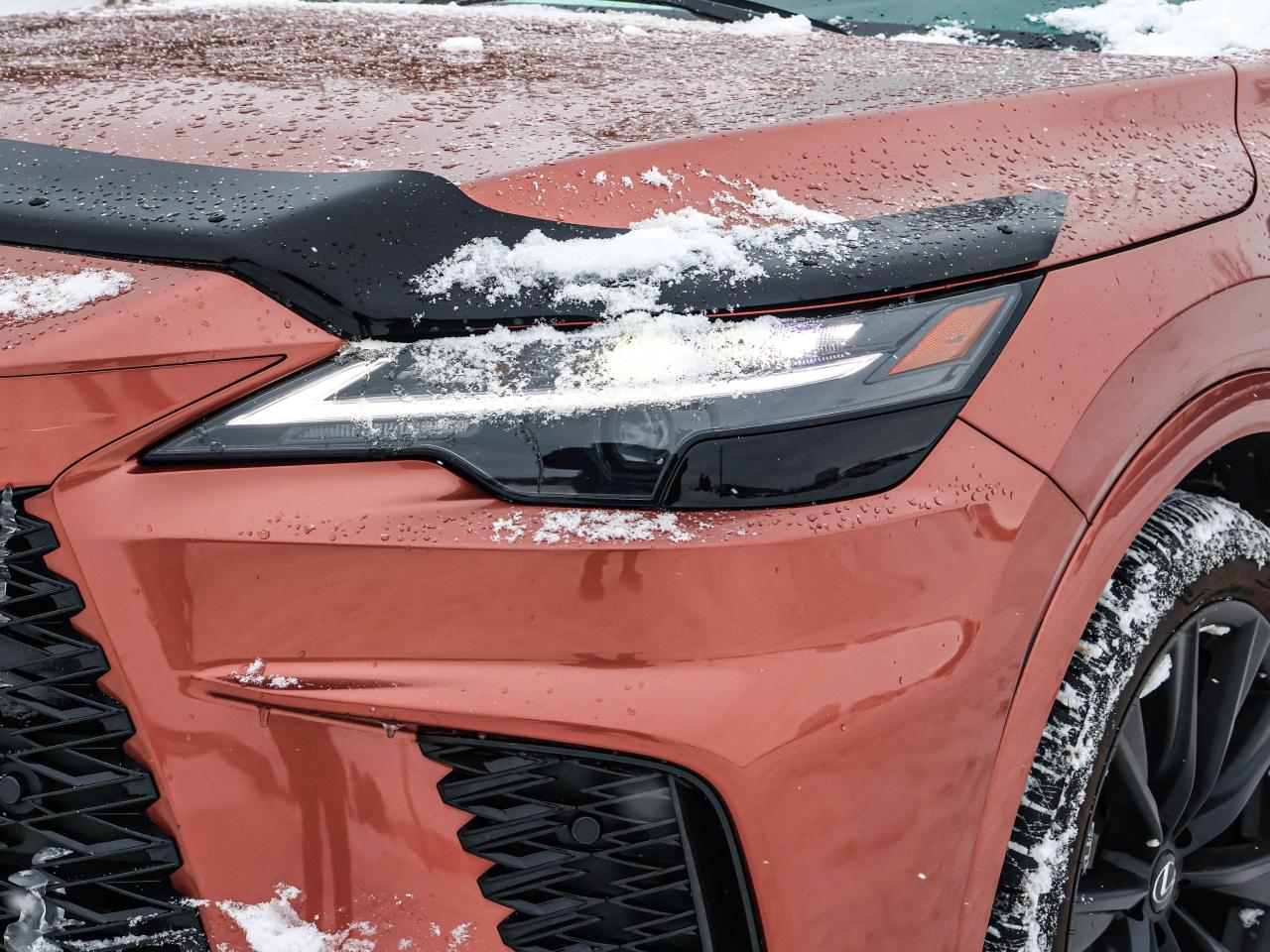 2024 Lexus RX RX 500H Photo