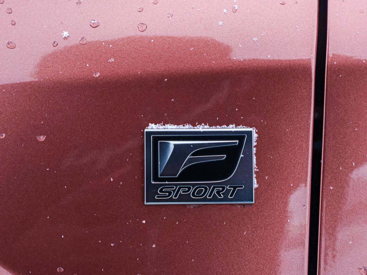 2024 Lexus RX RX 500H Photo