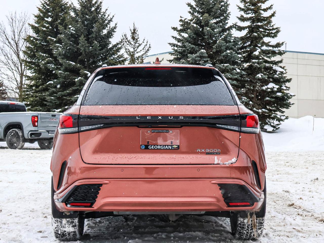 2024 Lexus RX RX 500H Photo