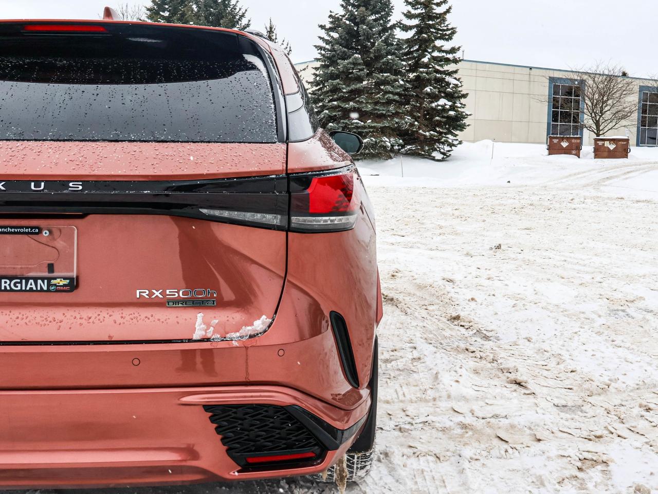 2024 Lexus RX RX 500H Photo