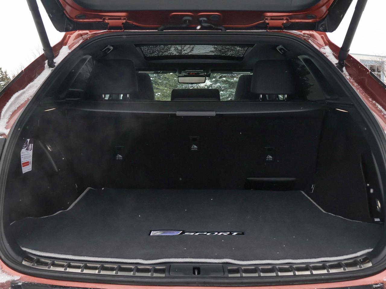 2024 Lexus RX RX 500H Photo